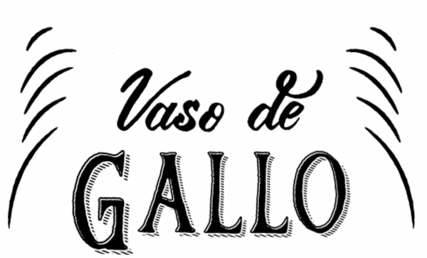 vasodegallo